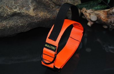Halsband 40mm Griff Gr.M Orange Malinois Husky Collie Labrador Suchhund Rescue
