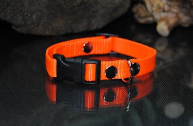 Halsband Nylon 15mm Neon-Orange, Jack Russel Chihuahua Welpenhalsband Collie