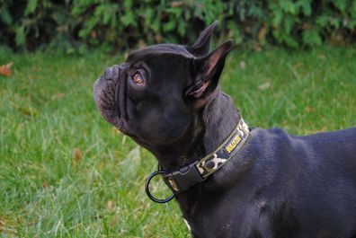 Halsband 25mm tarn camouflage Französische Bulldogge Pitbull Boxer Malinois