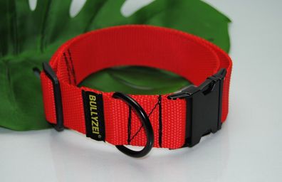 Halsband 40mm breit Rot M-L Französische Bulldogge Pitbull Boxer Malinois Collie