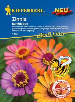 Zinnie Bumblebee, für Beete und Kübel, Ideale Schnittblume und Nektarspender