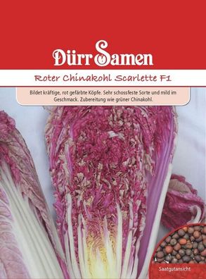 Roter Chinakohl Scarlette F1