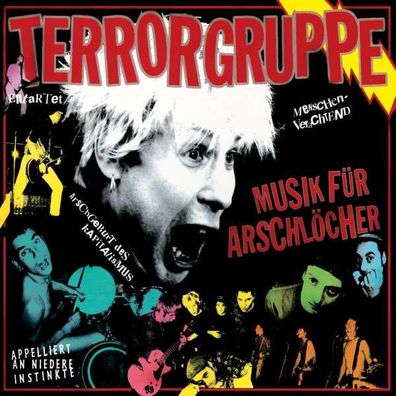 Terrorgruppe: Musik für Arschlöcher (Reissue) - Destiny - (Vinyl / Pop (Vinyl))