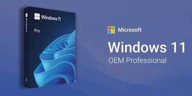 Windows 11 Professional Pro Key Sofort E-Mail Versand