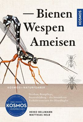 Bienen, Wespen, Ameisen, Heiko Bellmann
