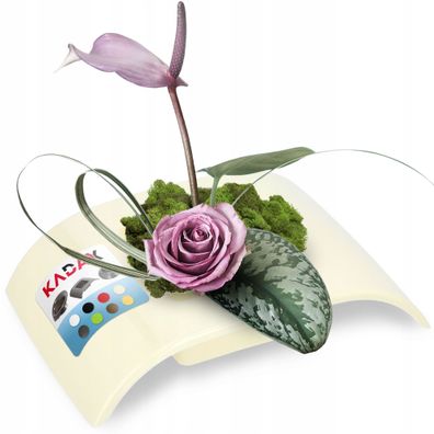 KADAX Ikebana aus Kunststoff, Blumentopf, Blumenschale, 19 cm, Creme