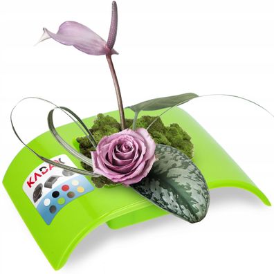 KADAX Ikebana aus Kunststoff, Blumentopf, Blumenschale, 19 cm, Grün