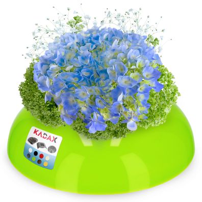 KADAX Ikebana aus Kunststoff, Blumentopf, Blumenschale, rund, 9.5 cm, Grün