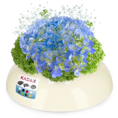 KADAX Ikebana aus Kunststoff, Blumentopf, Blumenschale, rund, 12 cm, Creme