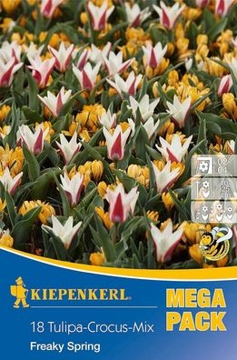 Mega-Pack Tulpe-Krokus Mix Freaky Spring, mehrjährig und winterhart, gute