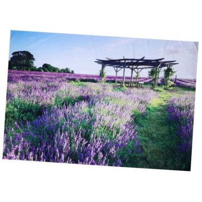 Wandteppich Zum Aufhangen Wanddecke Mit Blumen Lavendel Hintergrund Drucken
