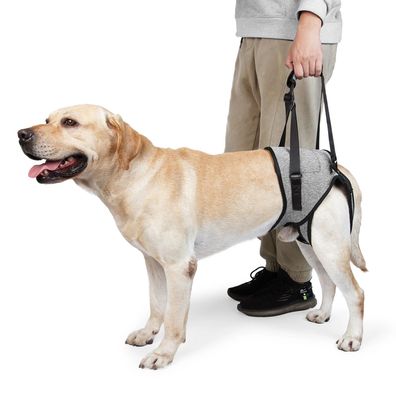 Dog Lift Harness for Large Dogs Soft Padded Adjustable Dog Back Leg Sling for Old