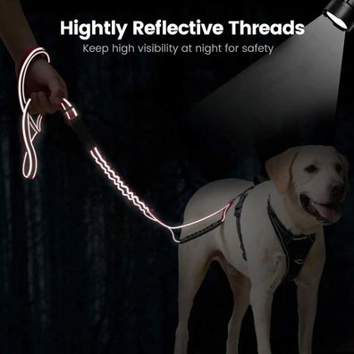 Pet Dog Leash Double Handle Reflective Multifunction Dog Harness Leash Running Dog