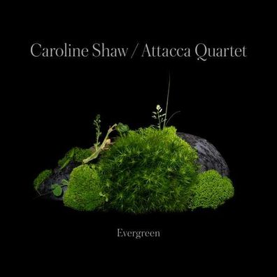 Caroline Shaw - Evergreen - - (CD / Titel: A-G)