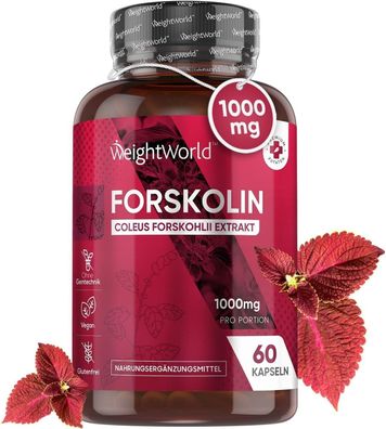 Forskolin Kapseln - 1000mg Coleus Forskohlii Extrakt - 60 Kapseln - Veganer & Vegetar