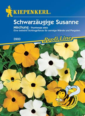 Kiepenkerl® Schwarzäugige Susanne - Thunbergien - Blumensamen