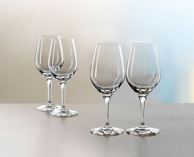 Spiegelau Special Glasses Profi Tasting Set/4 4631671