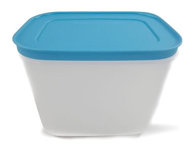 Tupperware Gefrier-Behälter 1,1 L weiß blau hoch Eis-Kristall Eiskristall