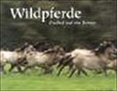 Wildpferde, Bernd Lamm