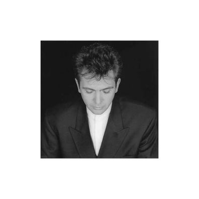 Peter Gabriel - Shaking The Tree - - (CD / Titel: H-P)