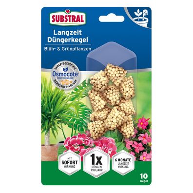 Substral Langzeit Düngerkegel Blüh- & Grünpflanzen - 10 Stück