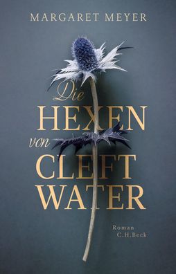 Die Hexen von Cleftwater: Roman, Margaret Meyer
