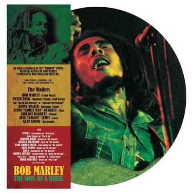 Bob Marley The Soul Of A Rebel 1LP Picture Disc Vinyl 2024 Golden Lane Records