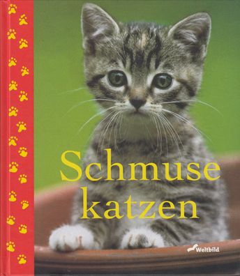 Schmusekatzen - Ein Buch, das Katzen kaufen würden