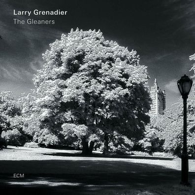 Larry Grenadier The Gleaners 1LP Vinyl 2019 ECM Records