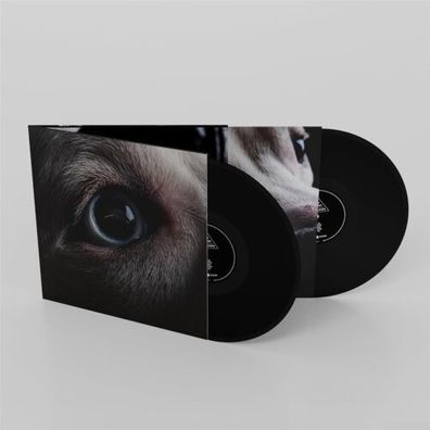 Roger Waters Dark Side Of The Moon Redux 2LP Black Vinyl Gatefold SGB50LP