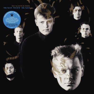 Madness Mad Not Mad 180g 1LP Vinyl 2022 Union Square Music
