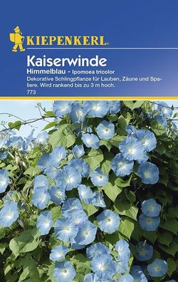 Ipomoea tricolor Kaiserwinde himmelblau