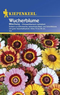 Chrysanthemum carinatum Wucherblume Mischung