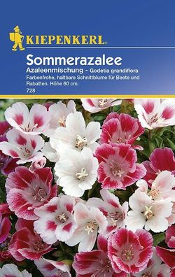 Sommerazalee Azaleen-Mischung | farbenfrohe mischung für Beete und Rabatte |...