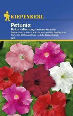 Petunie Balkon-Mischung | besticht durch leuchtende Farben Duft und...