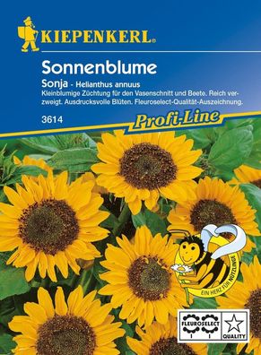 Sonnenblume Sonja F1, kleinblumige Züchtung für den Vasenschnitt und Beete...