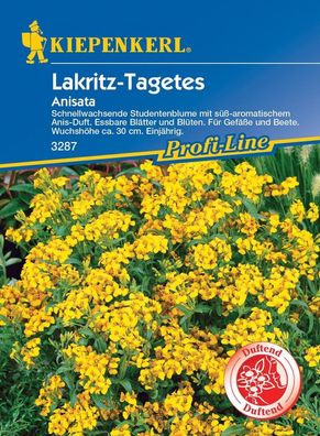 Lakritz-Tagetes Anisata, schnellwachsende Studentenblume mit süß-aromatischem...