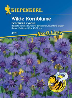 Kiepenkerl Wilde Kornblume, beliebte Sommerblume mit zahlreichen Blüten