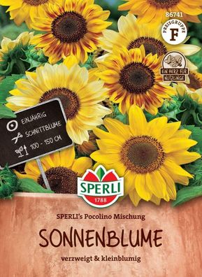 Sonnenblume SPERLI's Pocolino Mischung, Nektarspender, verzweigt & kleinblumig