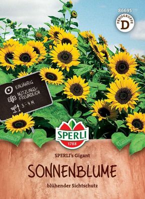 Sonnenblume SPERLI's Gigant, Nektarspender, blühender Sichtschutz, bis 4...