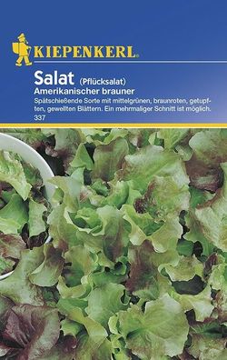 Salat Pflücksalat Amerikanischer Brauner Portion