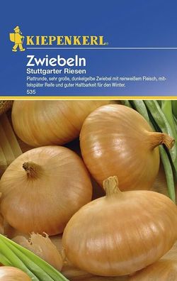 Zwiebeln Stuttgarter Riesen | bewährte, große und flachrunde Sorte