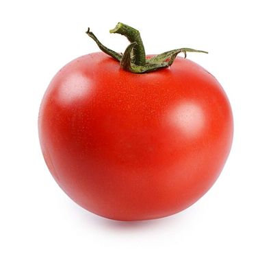 Tomate Harzfeuer F1 1000 Korn