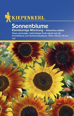 Helianthus Sonnenblume kleinblumige Gelbtöne