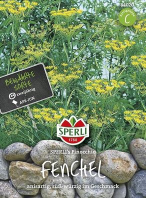 Fenchel Sperling`s Finocchio, zweijährige Gewürz und Heilpflanze, ...