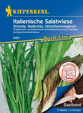 Italienische Salatwiese (Saatband), verschiedene Sorten und Arten gemischt, ...
