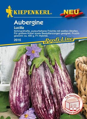 Aubergine Lucilla F1, schmackhafte purpurfarbene Früchte mit weißen Streifen, ...