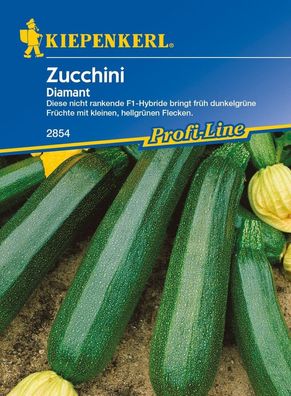 Zucchini Diamant F1, nicht rankende Hybride bringt frühe dunkelgrüne Früchte