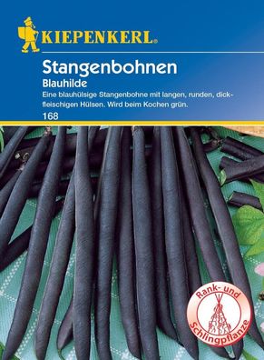 Stangenbohne Blauhilde, beliebte blauhülsige Stangenbohne ohne Fäden, ...