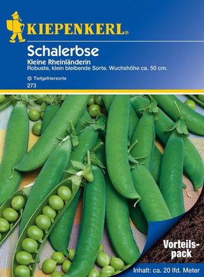 Schalerbse Kleine Rheinländerin (Vorteilspack), Inhalt: 175 gr., mittelgroßes...